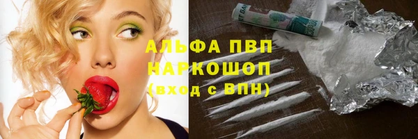 дживик Белокуриха