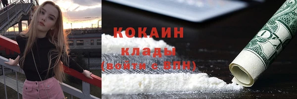 дживик Белокуриха