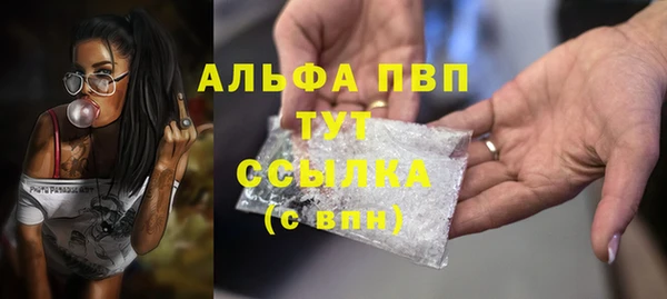 дживик Белокуриха