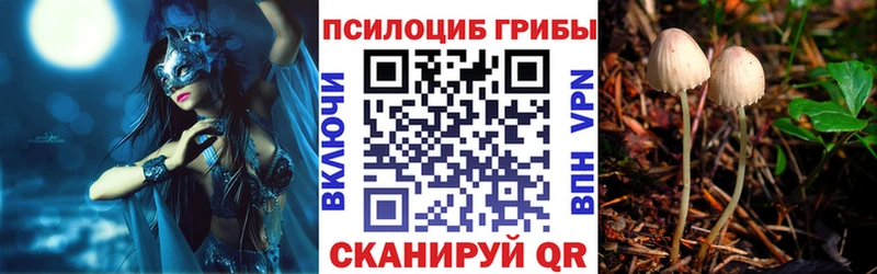 цены наркотик  Ершов  Галлюциногенные грибы Magic Shrooms 
