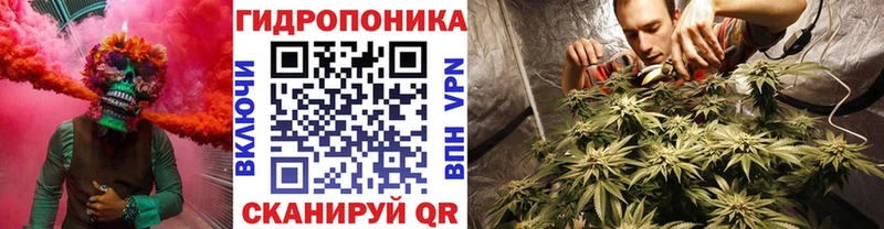 Конопля планчик купить сайты Ершов